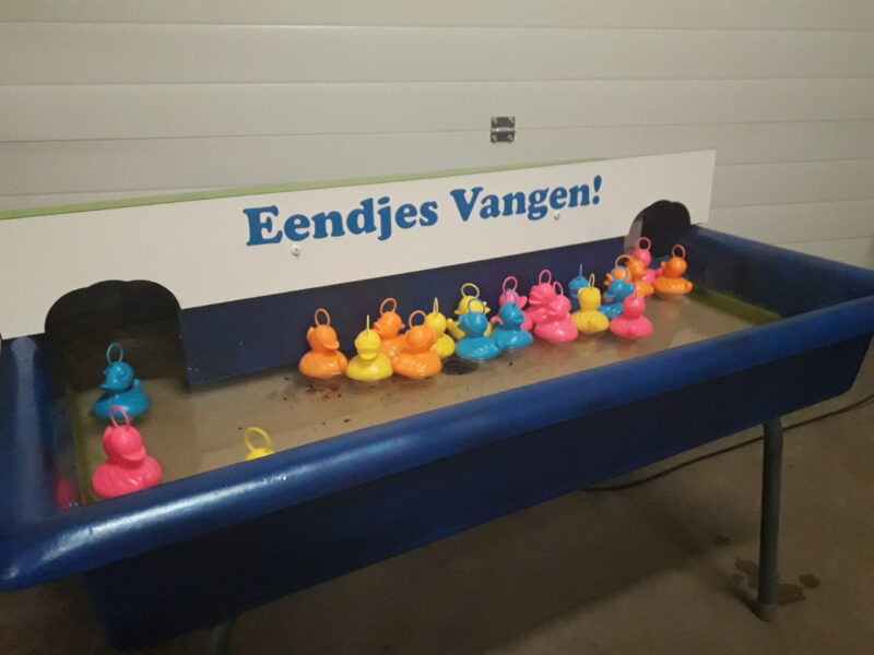 Eendjes vangen